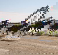 Bedourie Races and Rodeo - Accommodation Sunshine Coast