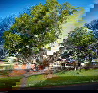 Big Bat Wildlife and Eco Festival - Accommodation Sunshine Coast