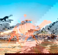Boulia Camel Races - Accommodation Sunshine Coast