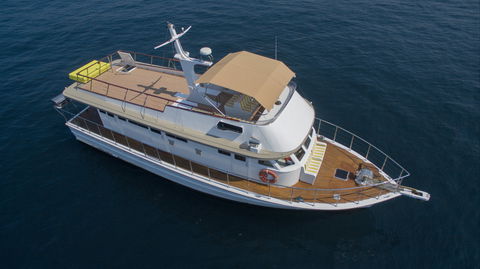 Boxing Day Cruise: Watch The Sydney To Hobart Yacht Race - Accommodation Sunshine Coast 1
