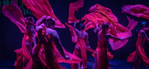 Darwin Fringe Festival - Accommodation Sunshine Coast 1