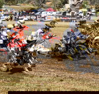 Dust Hustle Queensland Moto Park - Accommodation Sunshine Coast