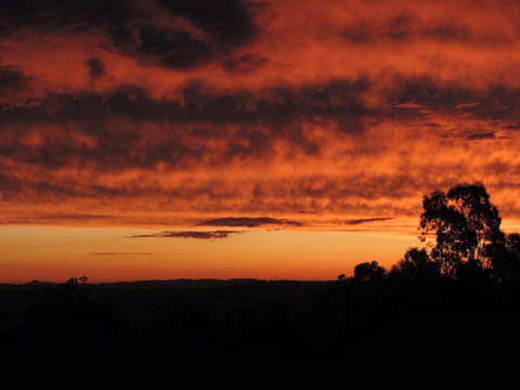 Father's Day At Cottontail Wines - Accommodation Sunshine Coast 0