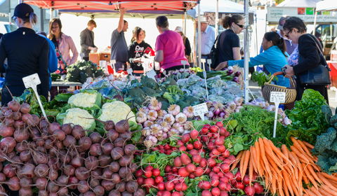Harvest Launceston Community Farmers' Market - Accommodation Sunshine Coast 2