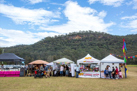 Horses Birthday Festival - Accommodation Sunshine Coast 2