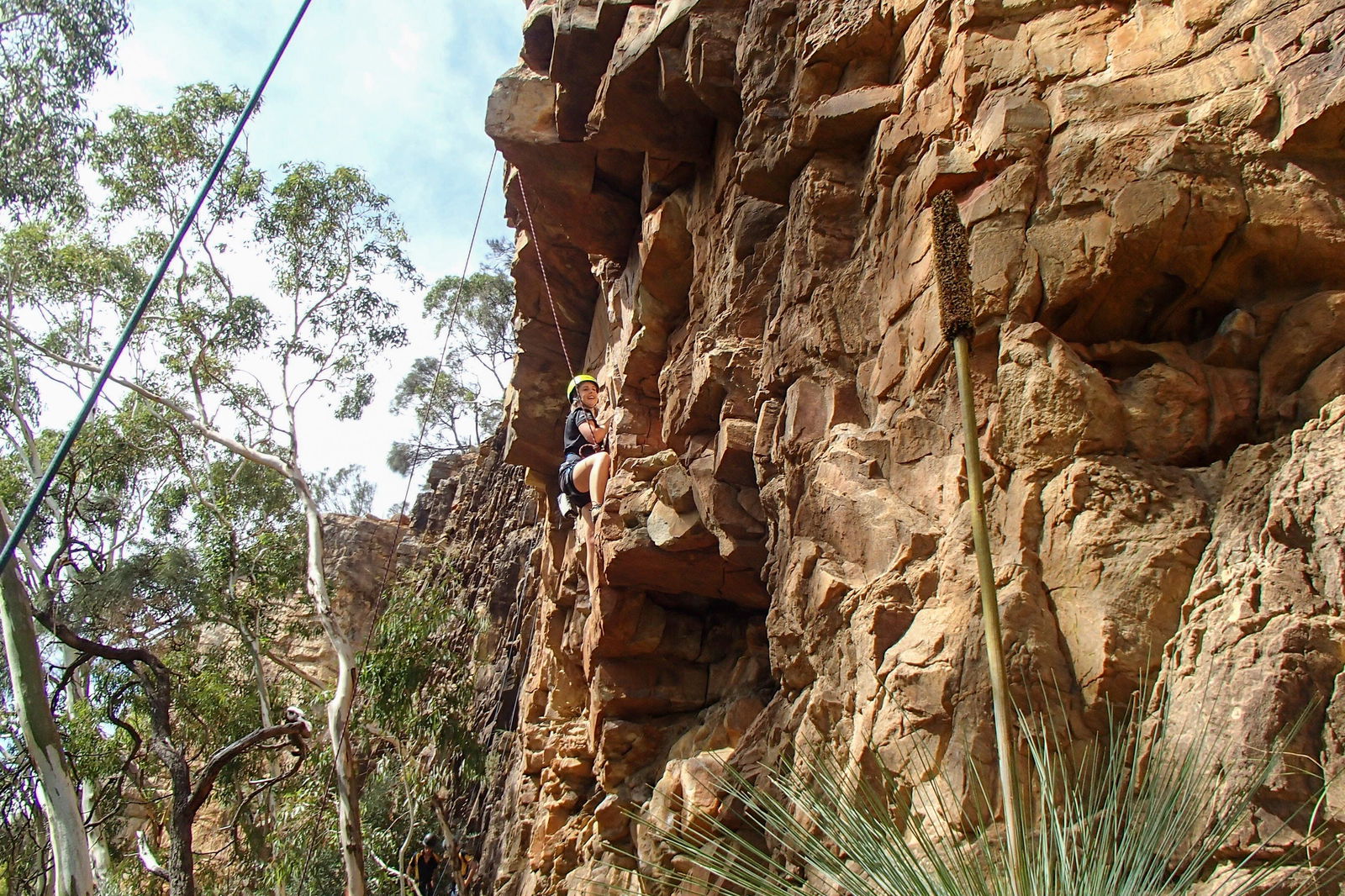 Teringie SA Accommodation Sunshine Coast