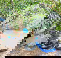 Jungle Love Festival - Accommodation Sunshine Coast