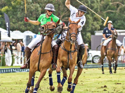 Land Rover Polo In The City - Accommodation Sunshine Coast 0