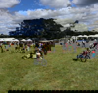 Majors Creek Festival - Accommodation Sunshine Coast