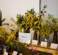 Pomonal Native Flower Show - Accommodation Sunshine Coast