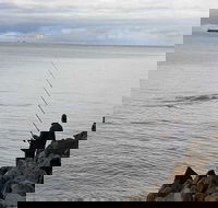 Whale Watching in Portland - Accommodation Sunshine Coast