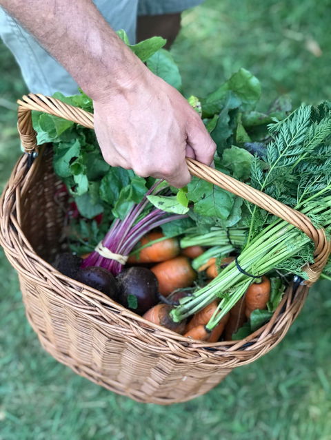 Orange Farmers Market - Accommodation Sunshine Coast 0