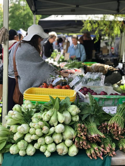 Orange Farmers Market - Accommodation Sunshine Coast 1