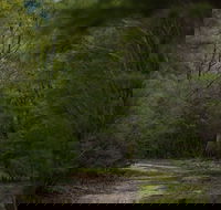 Yering Gorge Cottages - Accommodation Sunshine Coast