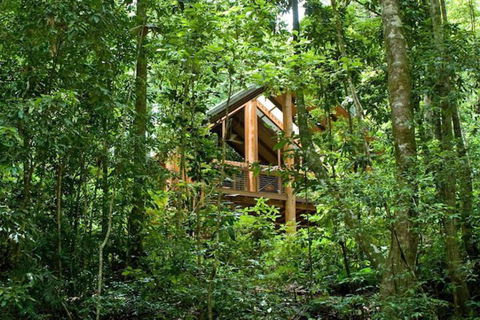 The Canopy Rainforest Treehouses And Wildlife Sanctuary - Accommodation Sunshine Coast 1