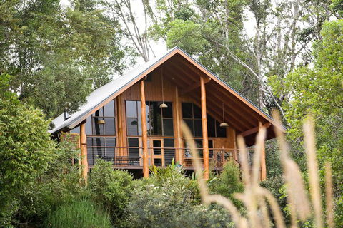 The Canopy Rainforest Treehouses And Wildlife Sanctuary - Accommodation Sunshine Coast 2