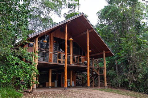 The Canopy Rainforest Treehouses And Wildlife Sanctuary - Accommodation Sunshine Coast 3