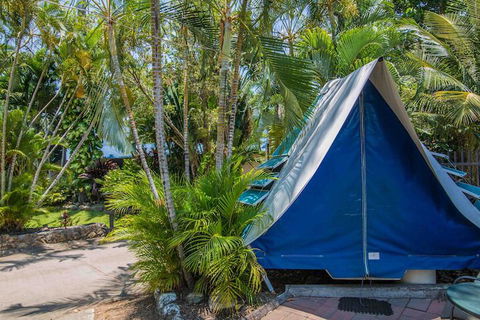 Tasman Holiday Parks - Airlie Beach - Accommodation Sunshine Coast 5