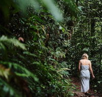 Daintree Ecolodge - Accommodation Sunshine Coast