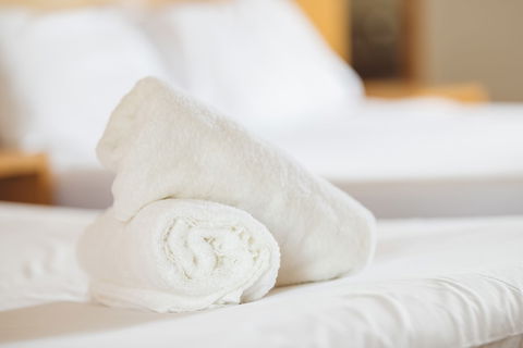 Garden Lodge Sydney - Accommodation Sunshine Coast 4