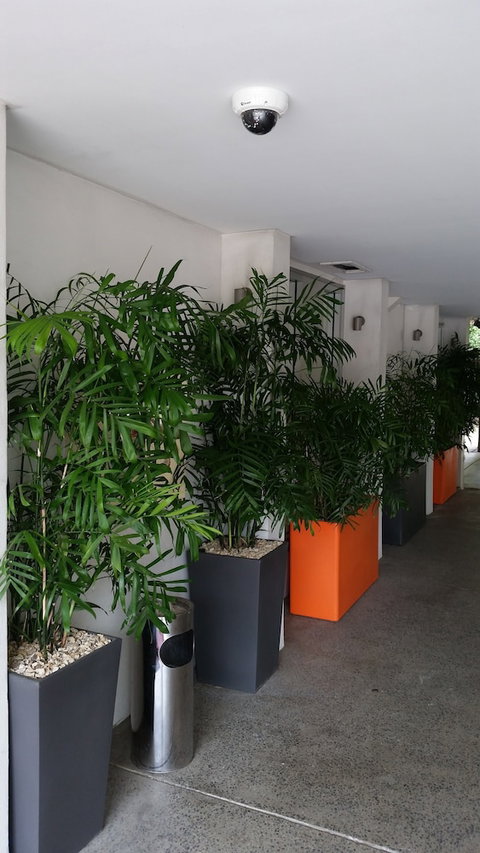 Quality Inn Airport Heritage - Accommodation Sunshine Coast 0