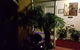 Admiral Nelson Motor Inn - thumb 1