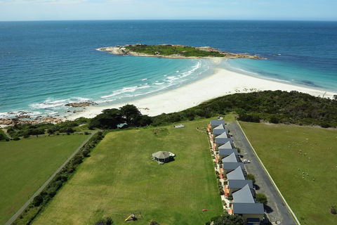 Diamond Island Resort & Bicheno Penguin Show - Accommodation Sunshine Coast 0