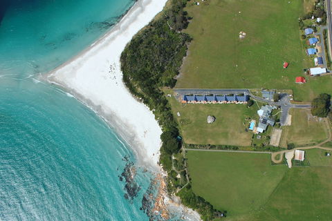 Diamond Island Resort & Bicheno Penguin Show - Accommodation Sunshine Coast 4