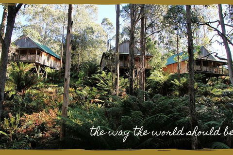 Lemonthyme Wilderness Retreat - Accommodation Sunshine Coast 5