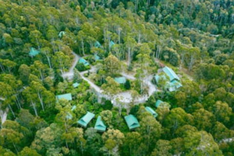 Lemonthyme Wilderness Retreat - Accommodation Sunshine Coast 0