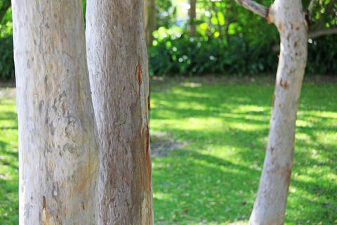 The Retreat Port Stephens - Accommodation Sunshine Coast 2