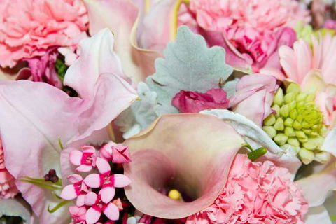 Rydges Horizons Snowy Mountains - Accommodation Sunshine Coast 5