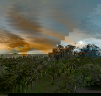 Ocean International - Accommodation Sunshine Coast