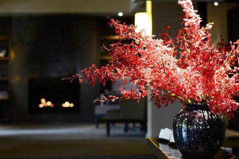 The Lyall Hotel And Spa - Accommodation Sunshine Coast 3