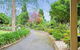 Bonville Lodge Bed & Breakfast - thumb 6