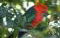 Hope Cottage Country Retreat - thumb 2