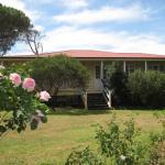 Massie QLD Accommodation Sunshine Coast