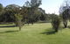 Bellbrae Harvest - thumb 4