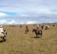 Susan River Homestead - Accommodation Sunshine Coast