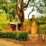 Cedarwood Cottage - Accommodation Sunshine Coast 0