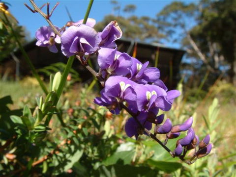 The Coombe On Wilson Inlet - Accommodation Sunshine Coast 4
