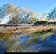 Victoria Lake Holiday Park - Accommodation Sunshine Coast