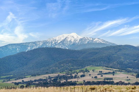 Off Mountain Accommodation - Accommodation Sunshine Coast 2
