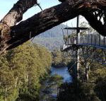 Tahune Air Walk Lodge - Accommodation Sunshine Coast