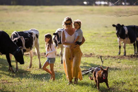 Redgate Forest Retreat - Accommodation Sunshine Coast 4