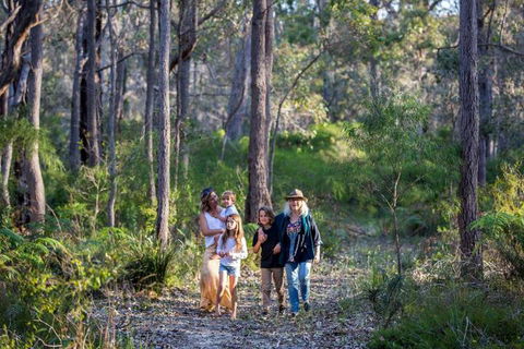 Redgate Forest Retreat - Accommodation Sunshine Coast 2