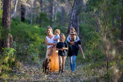 Redgate Forest Retreat - Accommodation Sunshine Coast 6