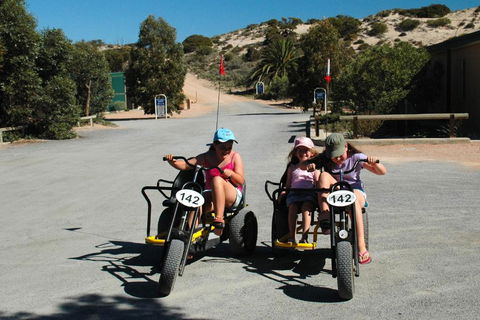 Ceduna Shelly Beach Caravan Park - Accommodation Sunshine Coast 4