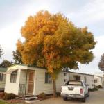 Wodonga Caravan & Cabin Park - Accommodation Sunshine Coast 1