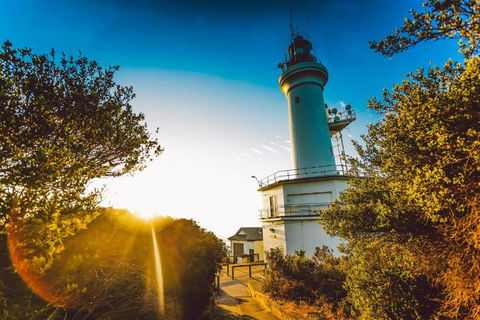 Abaleen House - Accommodation Sunshine Coast 5